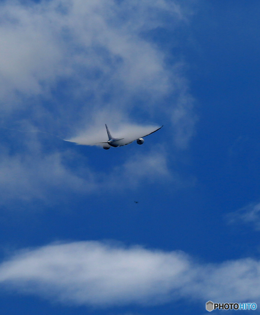 「ベイパー」 ANA 787-8 JA806A