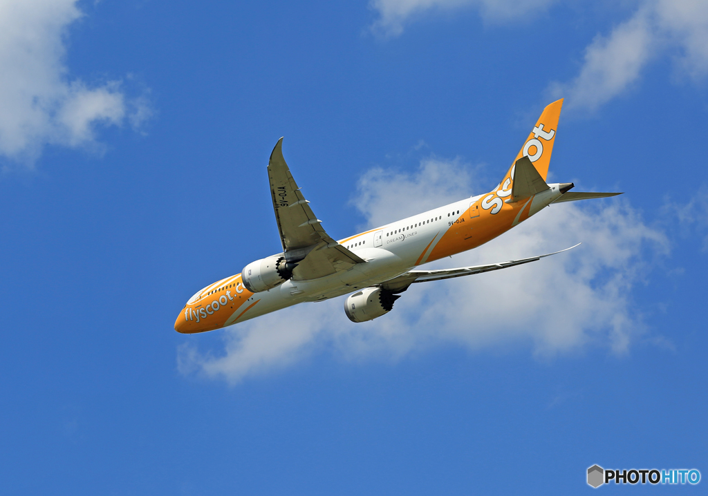 「良い空～」 scoot 787-9 9V-OJA Takeoff 