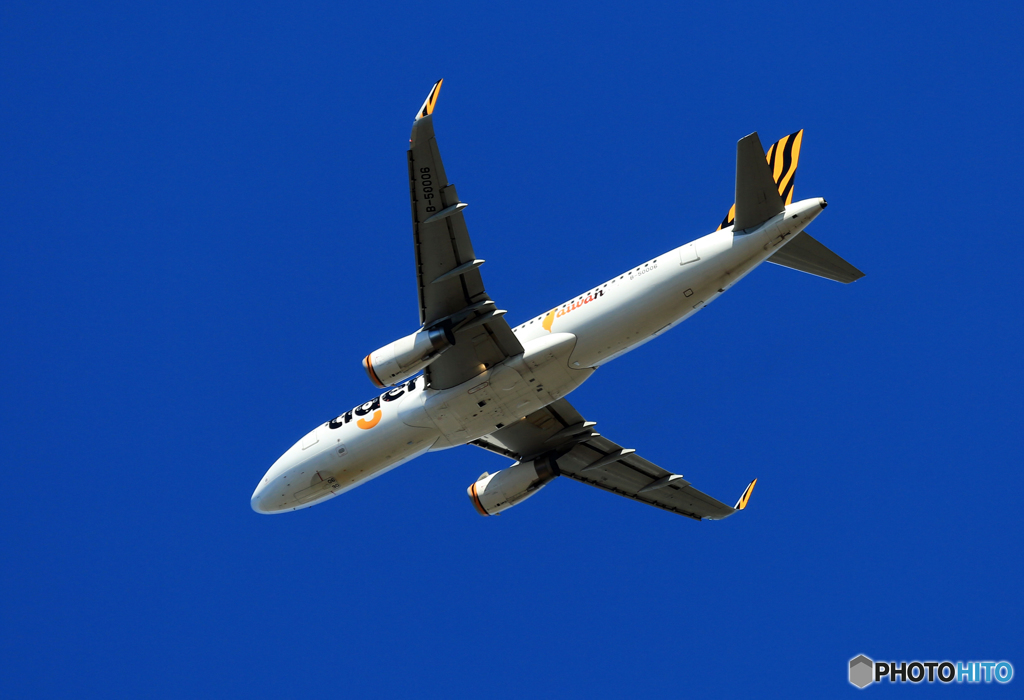 離陸 tigerair A320-323 B-50008