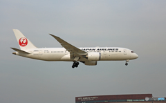 「青が大好き」 JAL 787-8 JA836J Landing 「青が大好き」 JAL 787-8 JA836J Landing