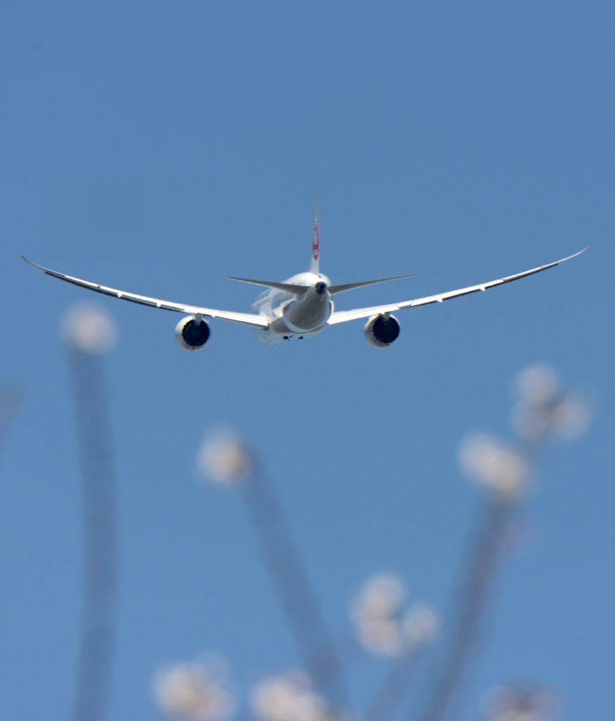 ☆☆　花見して来ました　☆☆