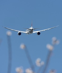 ☆☆　花見して来ました　☆☆