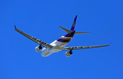 THAI A330-343 HS-TBF離陸  