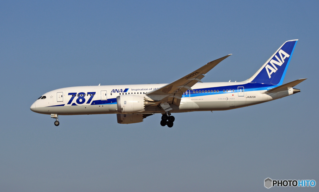 ANA 787-8 JA822A　到着 　