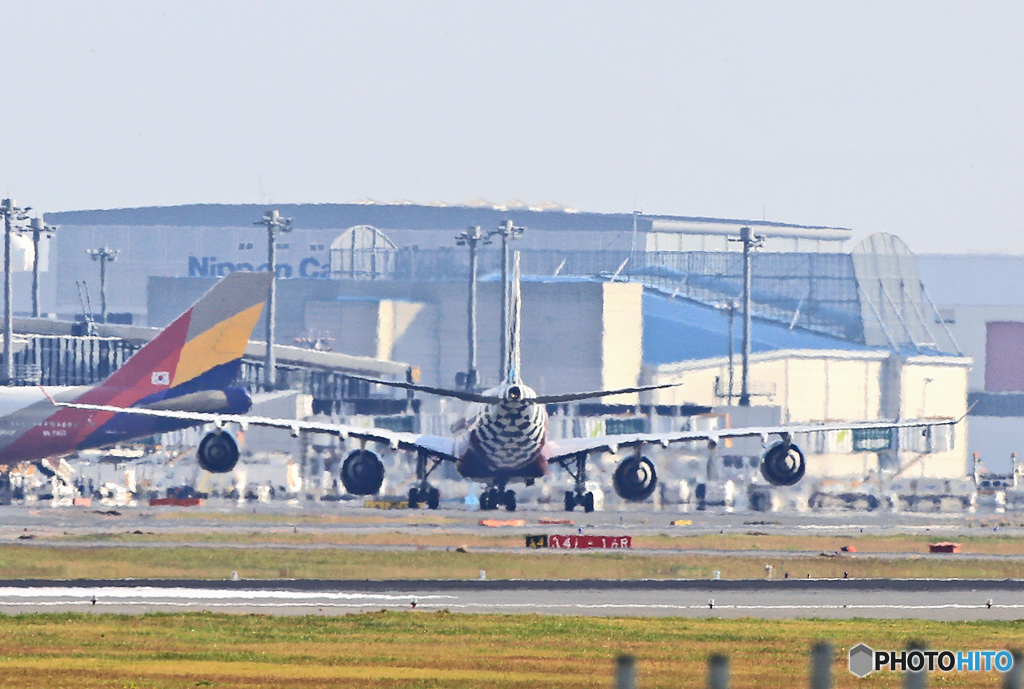 ETIHAD A340-600 F1 A6-EHJ 到着　