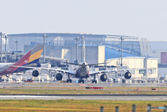 ETIHAD A340-600 F1 A6-EHJ 到着　