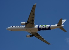 離陸 FINNER A330-300 marimekko