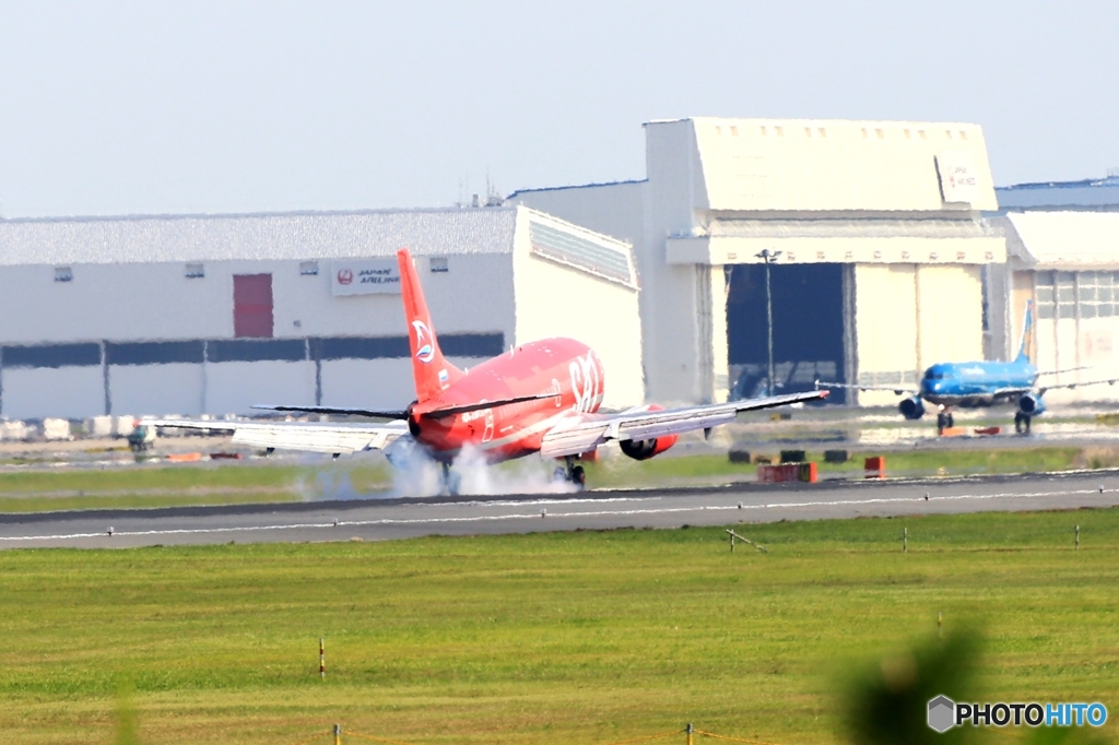 Auroraオーロラ航空SAT B737-5L9  RA-73013