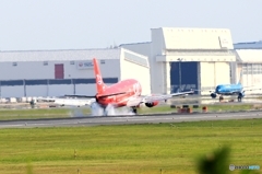 Auroraオーロラ航空SAT B737-5L9  RA-73013