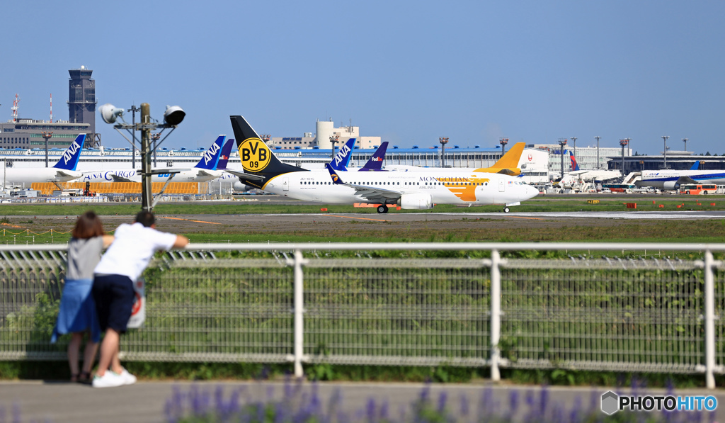 あれー、今場所何か、変わったね！大相撲