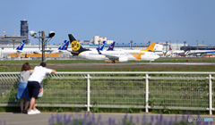 あれー、今場所何か、変わったね！大相撲