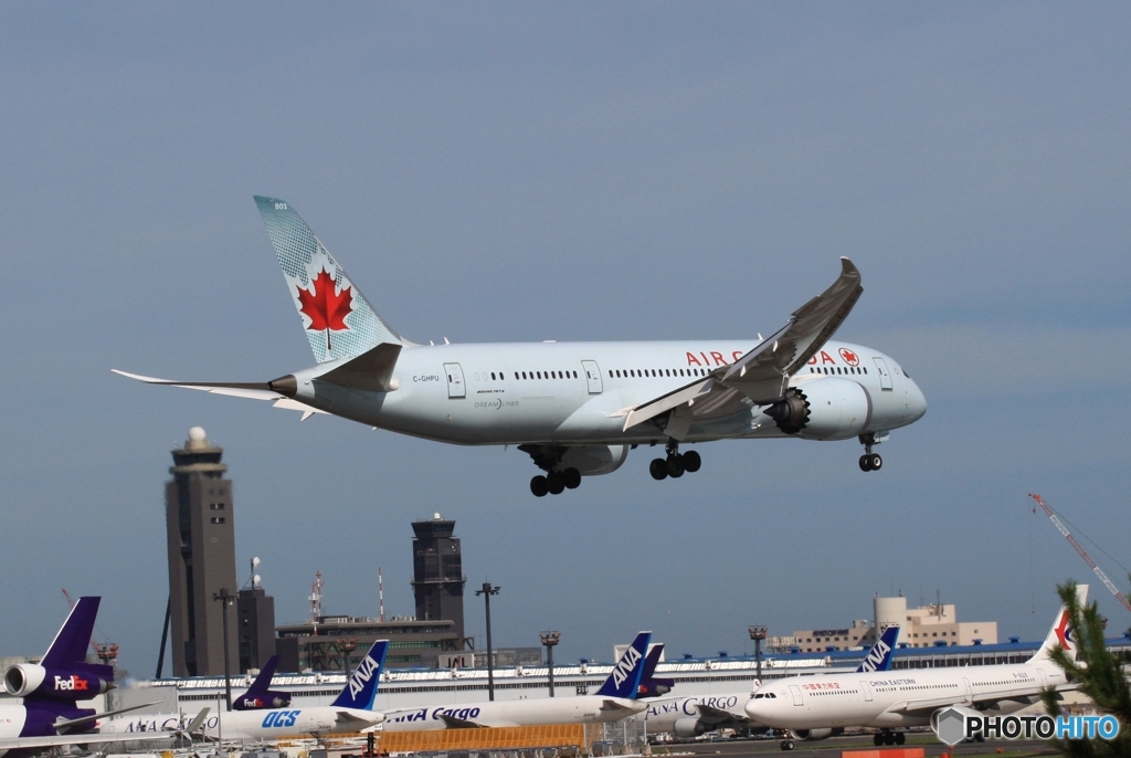 Air Canada 787-8 到着　