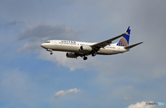 「青空」 UNITED 737-800 ｼﾐﾀｰﾙｳｲﾝｸﾞﾚｯﾄN37298