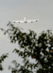 離陸（9-4）Lufthansa 747-430[ベイパー]