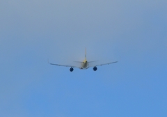 離陸(327)CEBU Airbus A320ﾍﾞｲﾊﾟｰ?