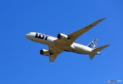 「青空」 LOT 787-8 SP-LRA