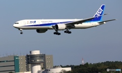 ANA 777-300ER  到着　