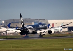 Air New Zealand 「All Blacks」787-9 ZK-NZE