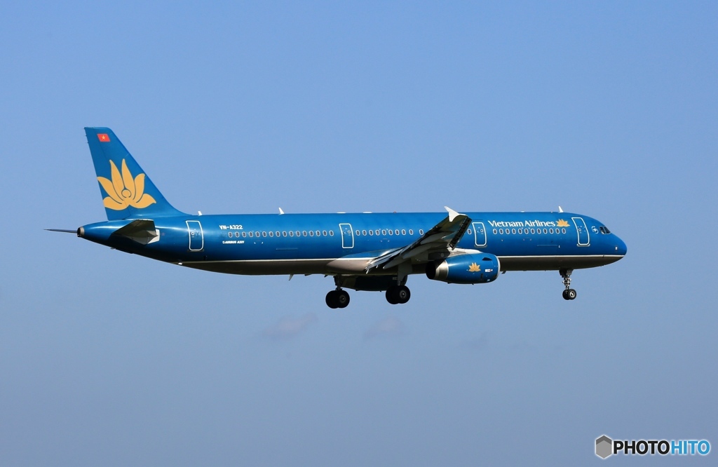 vietnam A321-231 到着