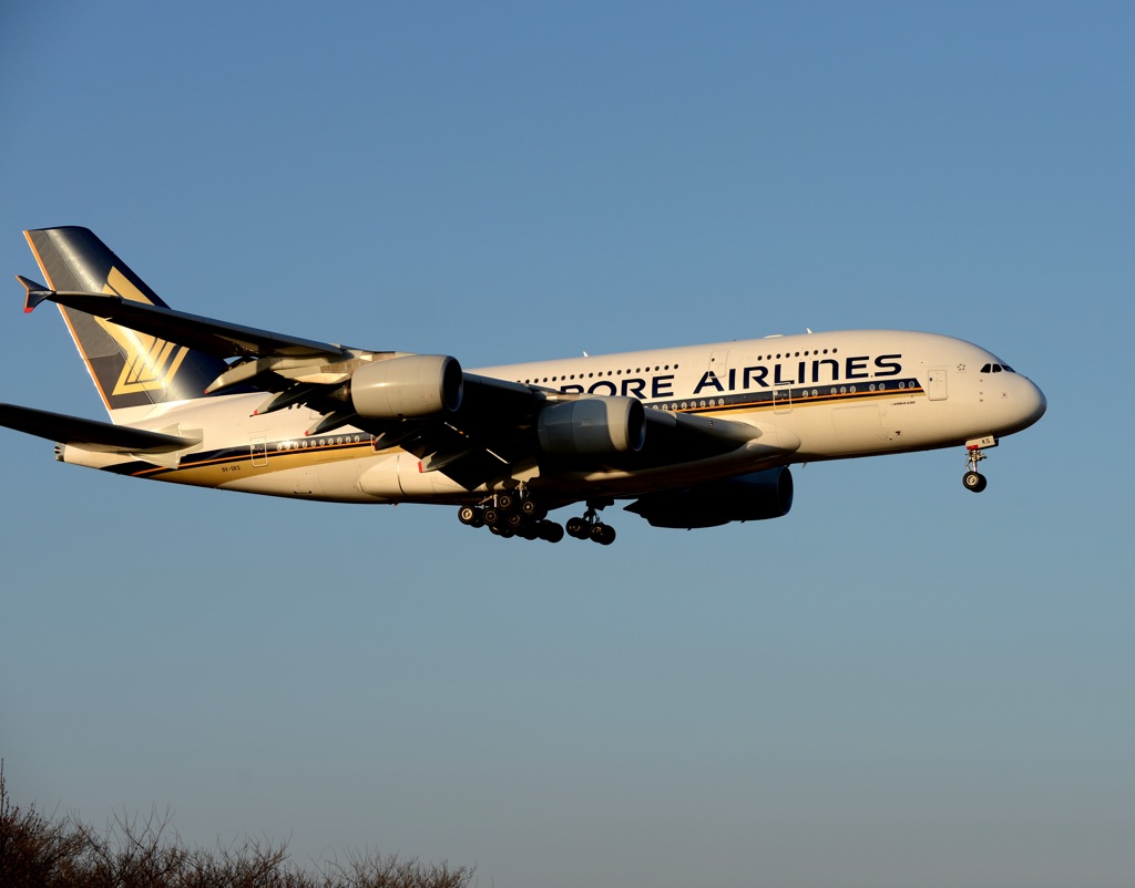 到着  SINGAPORE A380-841