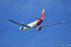 出発 イベリア航空 A330-202 EC-MMG