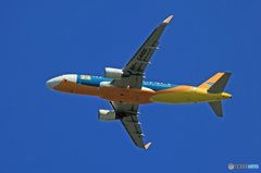 [青い空]　CEBU A320-214 RP-C4100飛び立ち 