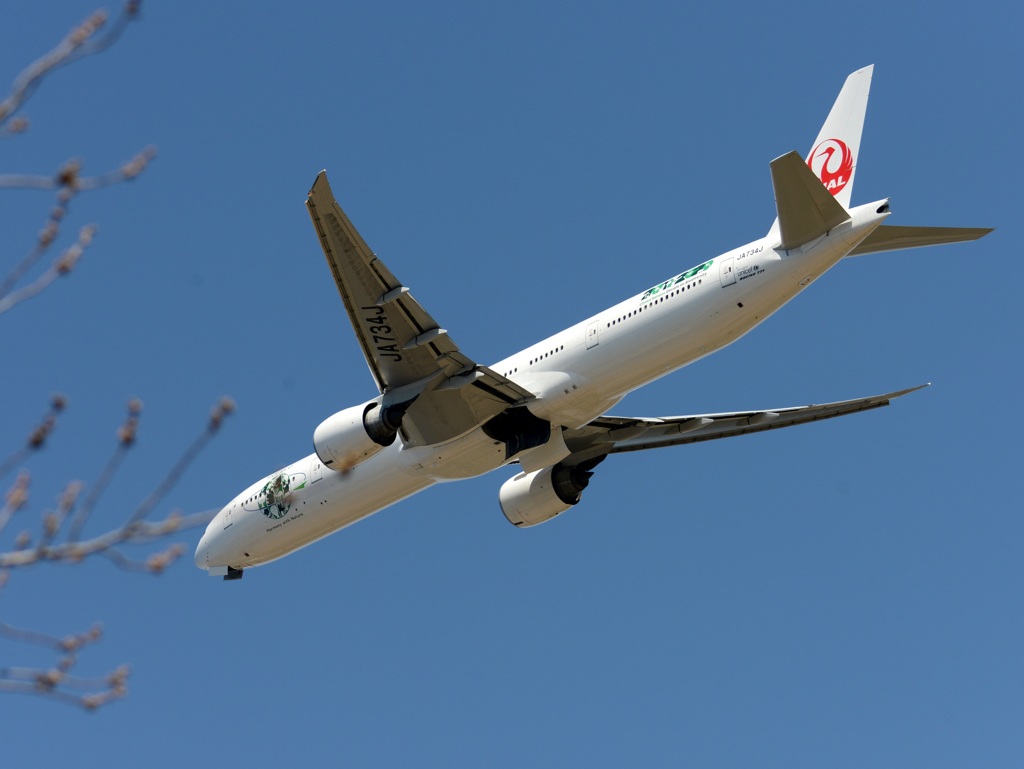 離陸  JAL 777-300