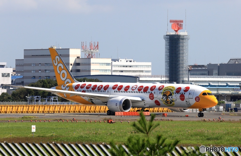 ✈ｽｸｰﾄSG50シンガポール建国50周年787-9 