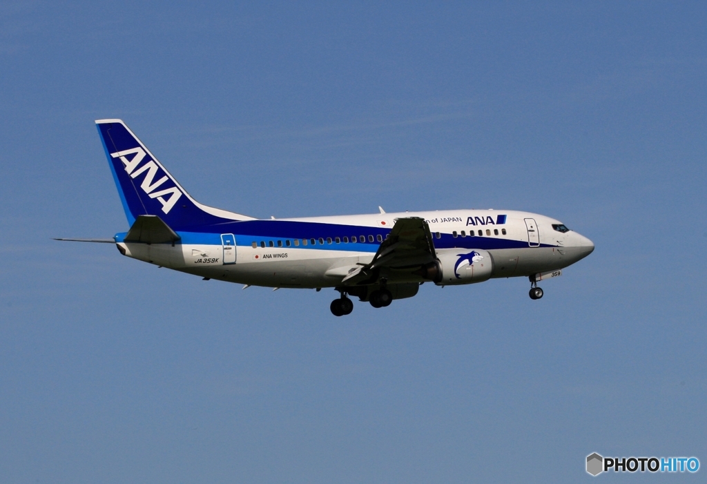 ANA 737-5L9 到着　