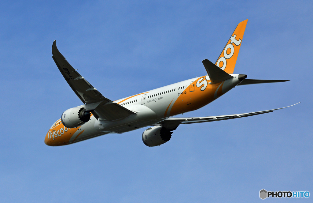 scoot 787-9 9V-OJD 出発 