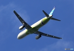 Air Busan A321-231 離陸 