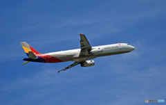 「青い空」Asiana A321-231 HL8278