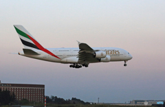 「青空」 ETIHAD A380-861 A6-EUE Landing 「青空」 ETIHAD A380-861 A6-EUE Landing