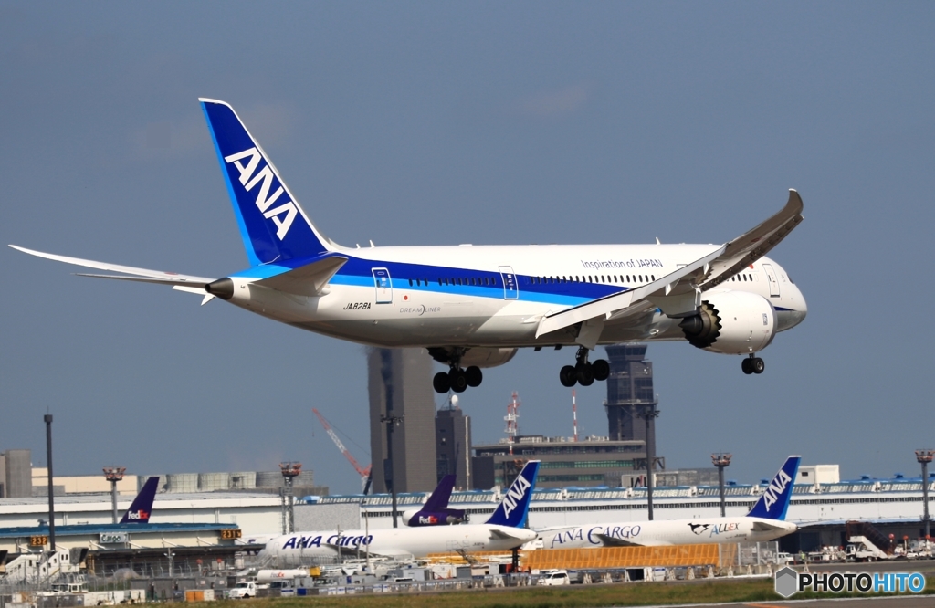 ANA 787-8 着陸　