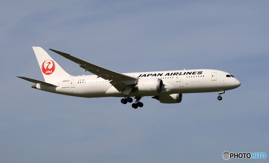 JAL 787-8 到着　