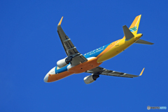 「青空」CEBU A320-214 RP-C4100飛び立ち  