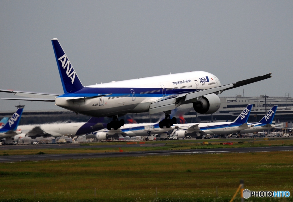 ANA 777-300ER 着陸　
