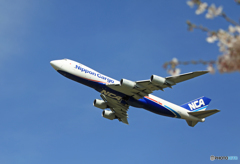 「空色」 NCA 747-8KZF JA17KZ 飛行 「空色」 NCA 747-8KZF JA17KZ 飛行