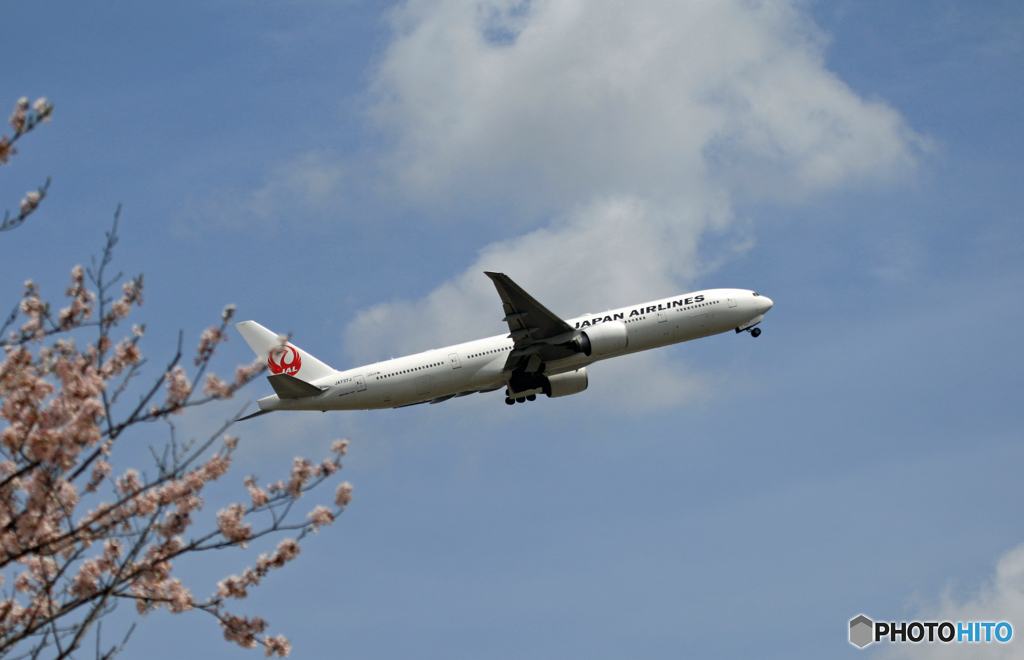 JAL 777-346 JA737J 飛び立ち　