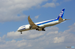「青い空」が一番 ANA 787-9 JA839A到着