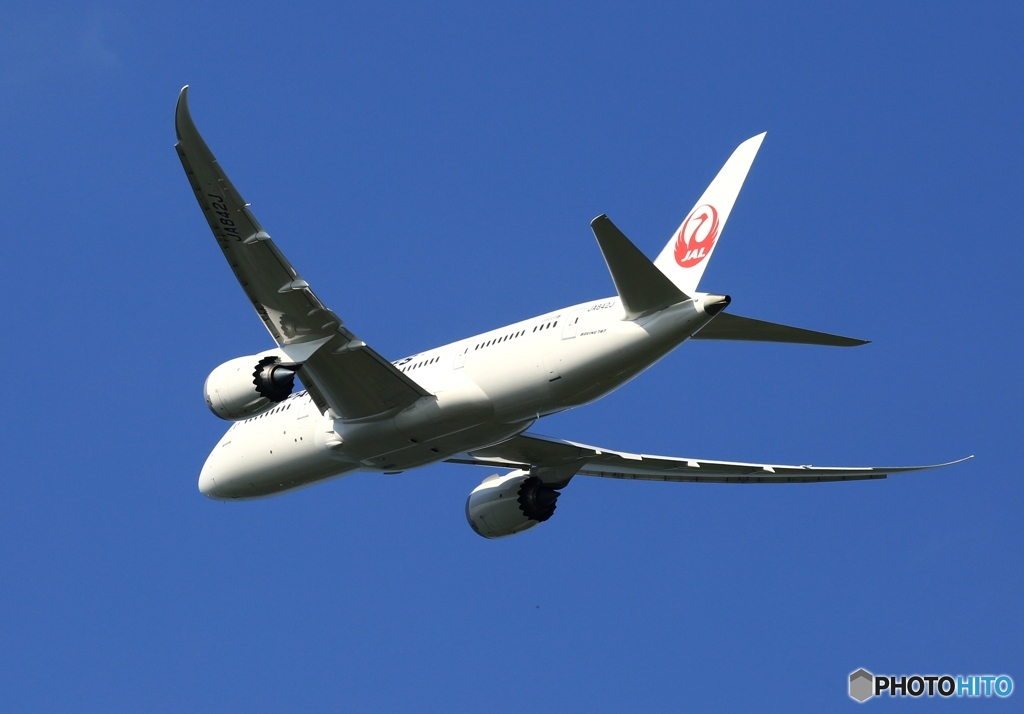 離陸 JAL 787-8