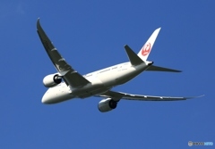 離陸 JAL 787-8