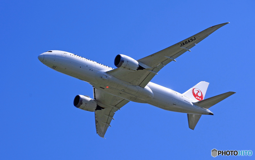 [青空]　JAL 787-8 JA842J