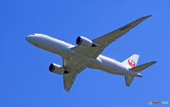 [青空]　JAL 787-8 JA842J