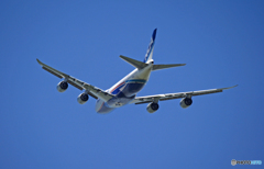 NCA 747-8KZF JA18KZ 飛行 