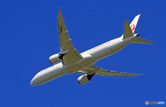 離陸 JAL 787-9 JA864J