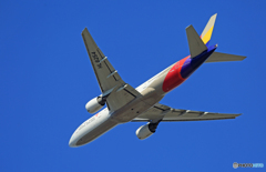 「そらー」 ASIANA 777-200 HL8254 