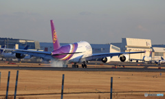 Thai A380-841 HS-TUD