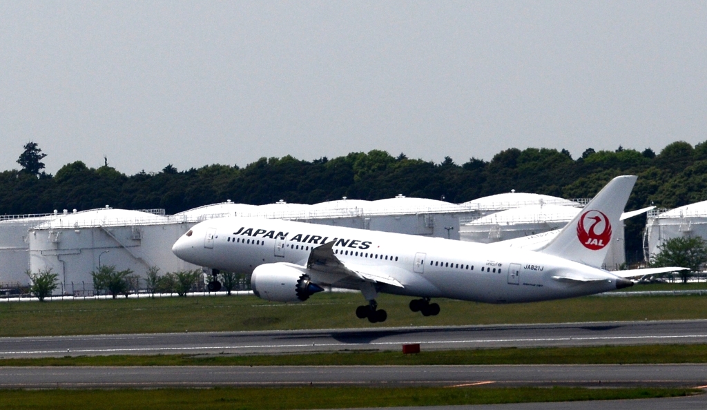 飛ぶか　７８７（JAL）