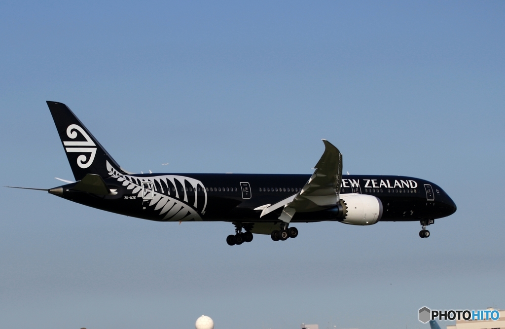 Air New Zealand 「All Blacks」787-9 ZK-NZE